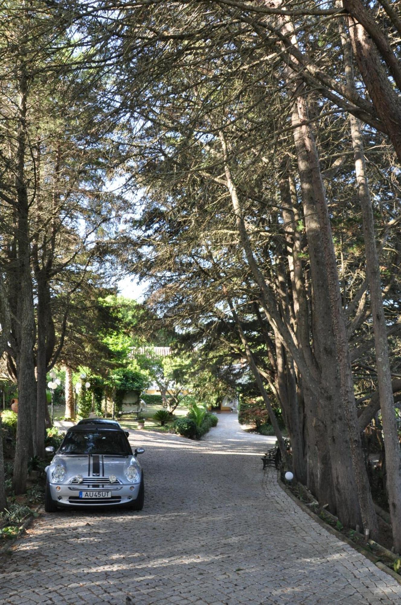 Quinta Do Monte Das Abelhas - La Venus De Lisbonne Calhandriz Exterior foto
